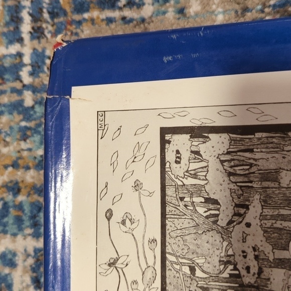 L. Frank Baum The Life & Adventurers of Santa Clause Hardback - Picture 14 of 15